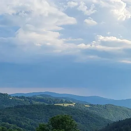 Οργανωμένο κάμπινγκ Oddih Pr Toniq